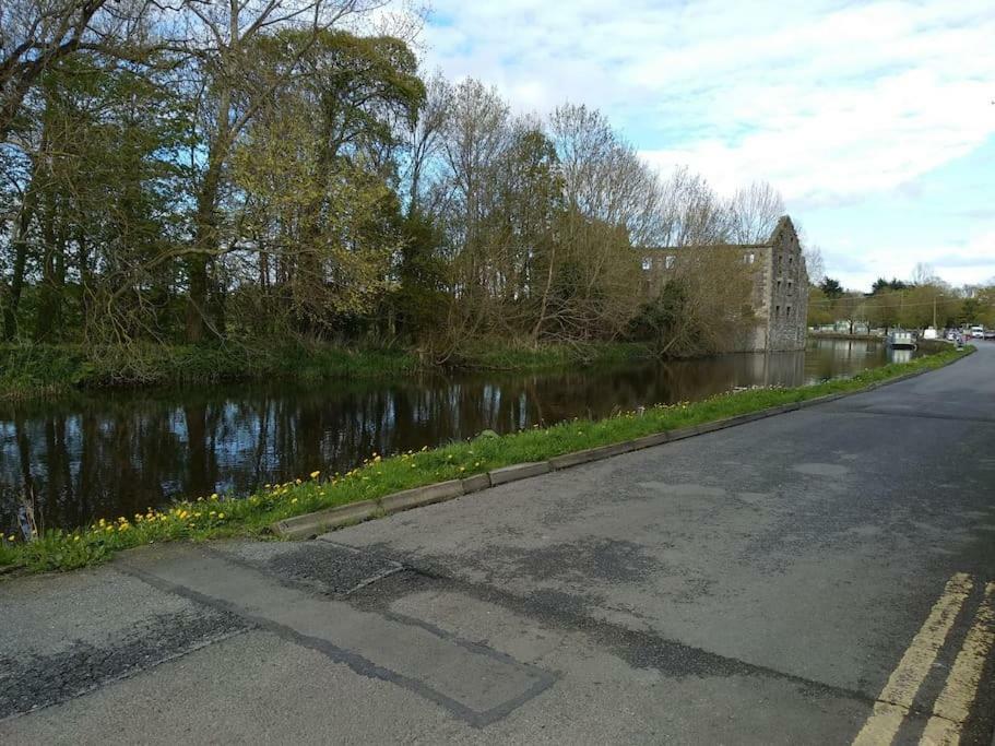 Small Town House, Barrow Lane, Bagenalstown, Carlow Exterior photo